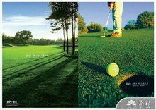 绿色自然高尔夫画册矢量图