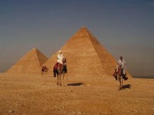 沙漠骆驼埃及金字塔高清图片4