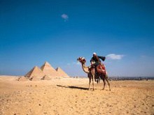 沙漠骆驼埃及金字塔高清图片2