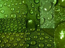 透亮水晶水滴绿叶高清图片