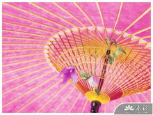 粉色花纸伞雨伞PPT模板