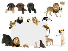 动物王国广告牌高清图片