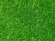 绿色草地草坪高清图片2
