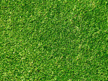 绿色草地草坪高清图片