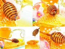 蜂蜜蜂巢高清图片