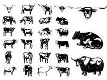 各种牛黑白画矢量图