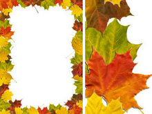 多彩秋天枫叶树叶边框高清图片