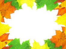 五颜六色枫叶树叶边框高清图片