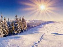 冬季雪景景观高清图片8