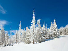 冬季雪景景观高清图片5
