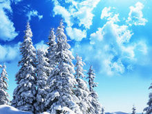 冬季雪景景观高清图片2