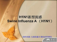 卫生署H1N1新型流感PPT模板