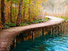 秋天森林小桥流水高清图片2