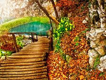 秋天森林小桥流水高清图片