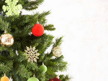 精美圣诞树高清图片3