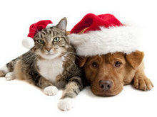 可爱圣诞猫与狗高清图片