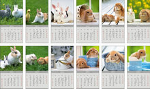 2011高清写实兔子日历挂历矢量图