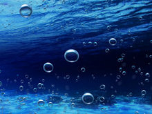 海底水泡高清图片1