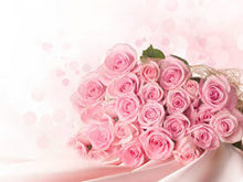 粉色玫瑰高清图片1