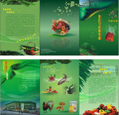 水果生鲜农产品超市宣传册矢量图