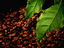 咖啡豆海报高清图片2