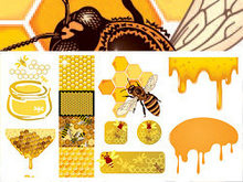 蜜蜂蜂蜜蜂窝矢量图