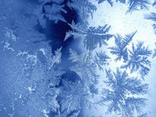 冬季雪景雪花高清图片4