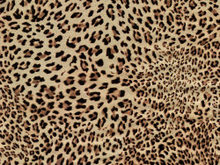 豹纹绒布料高清图片6