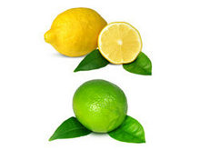 柠檬高清图片1