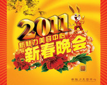 2011新春联欢晚会海报PSD素材