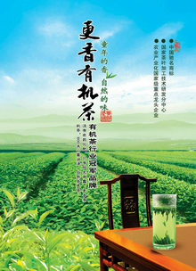茶文化有机绿茶海报PSD素材