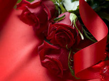 鲜红的玫瑰花系列1高清图片