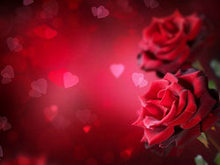 鲜红的玫瑰花系列高清图片8