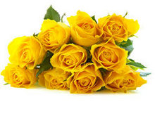 鲜美的黄玫瑰高清图片