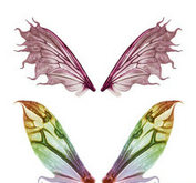 仙女翅膀元素PSD源文件
