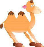 卡通动物骆驼PSD素材