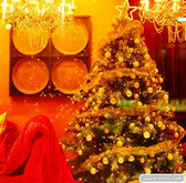 高清圣诞树彩灯PSD图片