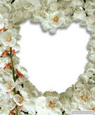白色花朵心型相框PSD模板