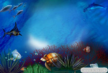 精美海底世界相框PSD模板(2)