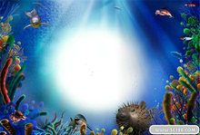 精美海底世界相框PSD模板(7)