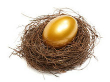黄金蛋巢高清图片2