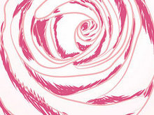 玫瑰花局部矢量图-2