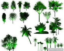 灯光效果景观树木PSD素材