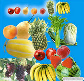 水果蔬菜PSD素材