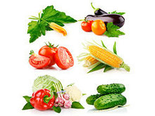 蔬菜高清图片2