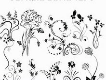 高清晰漂亮的装饰花边花纹PS笔刷系列之一