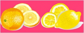 柠檬与橘子矢量水果素材