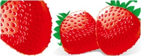 红草莓矢量图
