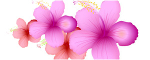 粉红水墨花卉矢量图