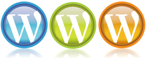 30套多彩元素WordPress矢量图标素材